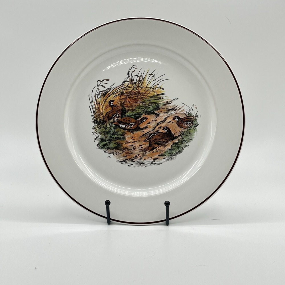 Vintage Villeroy & Boch Fontainebleau Collection Porcelain Plate‎ 10.5"
